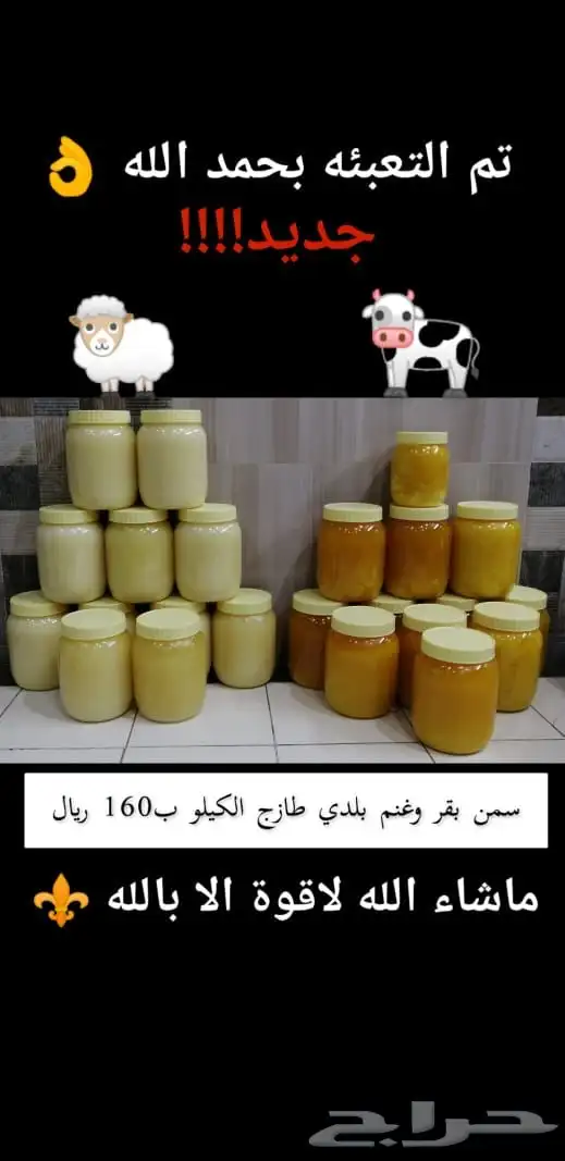 سمن غنم وسمن بقر 2