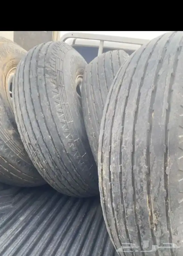 بوالين ماكسس 4