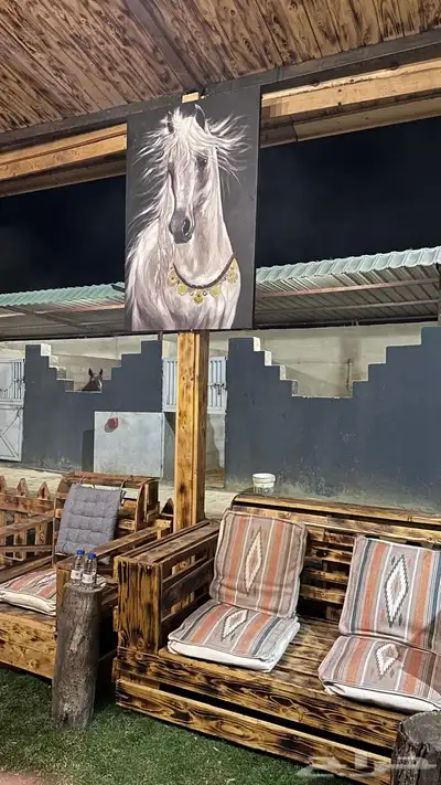 اسطبل ومربط نايت فيو للخيل العربية الاصيل 0