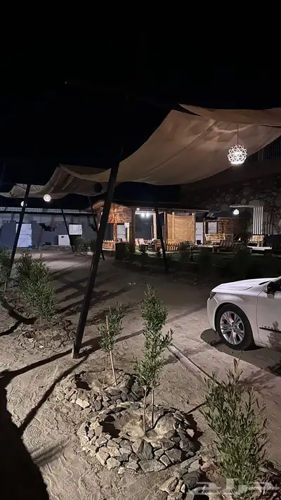 اسطبل ومربط نايت فيو للخيل العربية الاصيل 3
