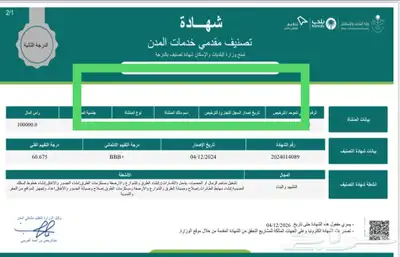 تصنيف مقدمي خدمات المدن 2
