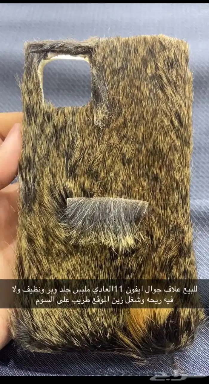 جراب ايفون 11 0