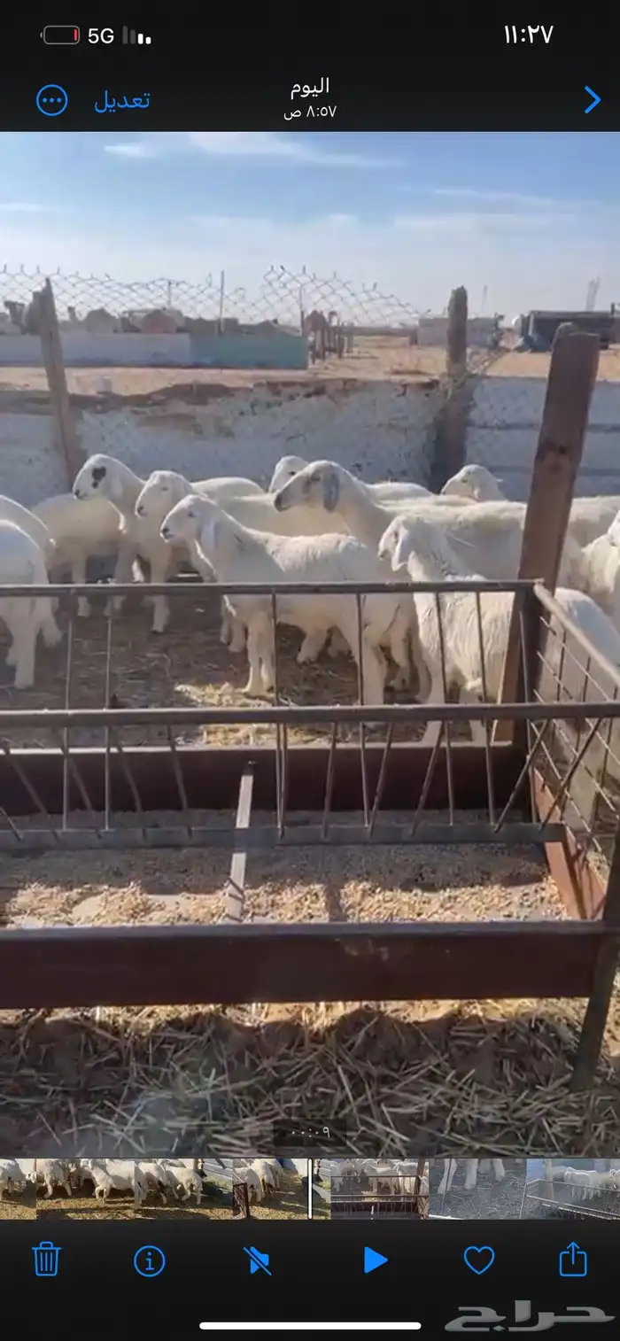 حريات طيبه يوجد خدمات صلخ وا توصيل 1