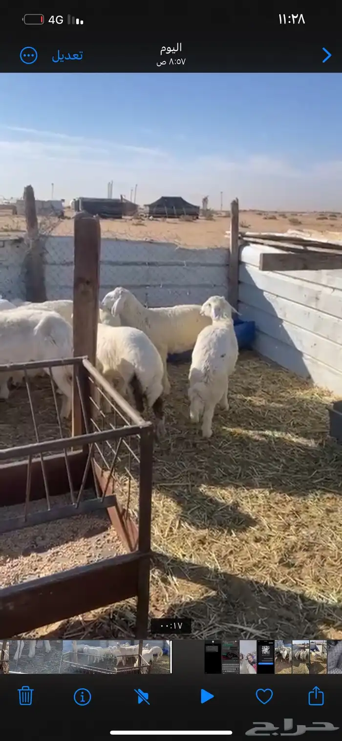 حريات طيبه يوجد خدمات صلخ وا توصيل 2