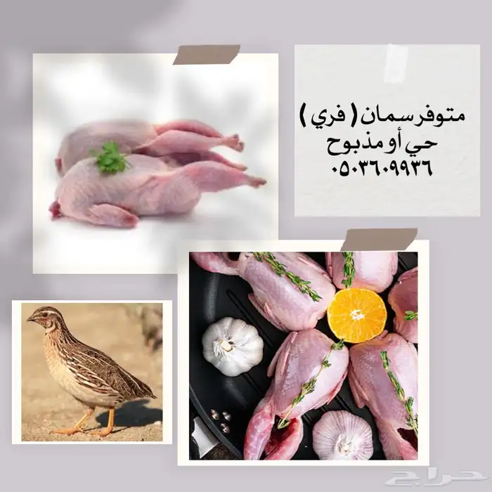 سمان فري 0