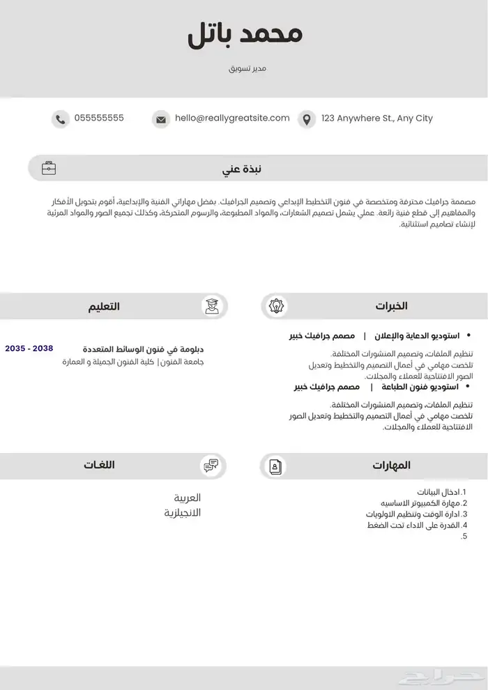 سيرة ذاتية احترافية 5