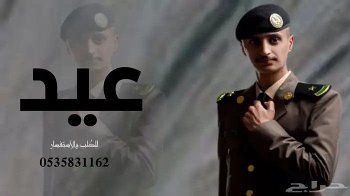 منشد شيلات شاعر جزل 0