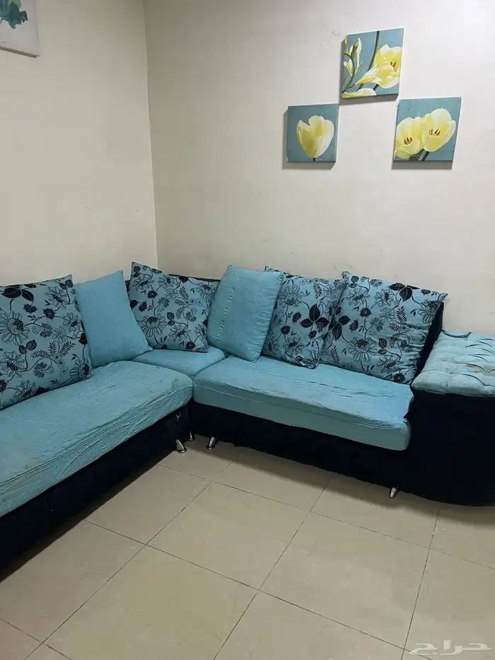 كنبه مع أريكة وسجادة 3