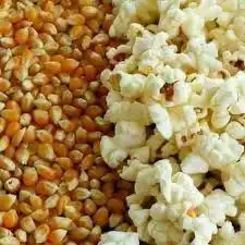 فشار بشار الماشروم حبه كبيره توصيل علينا 2