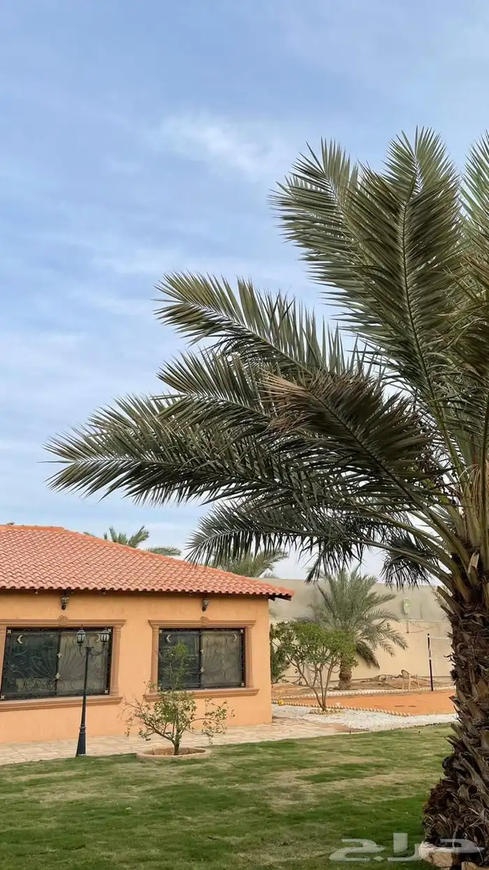 مزرعة ومنتجع واستراحة للبيع في الجبيلة حي عقرباء 15