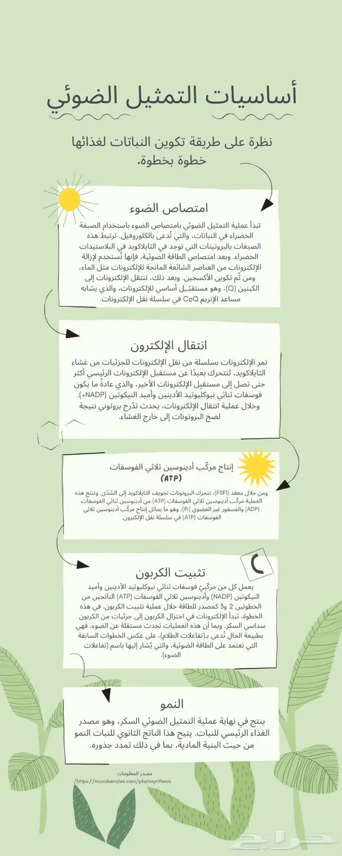 مشاريع و اعمال طلابيه لكل المراحل الدراسيه بسعر ممتاز 1