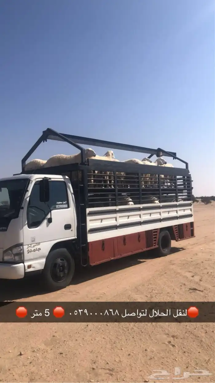 دينا خمسه متر الطايف دينا حلال اثاث دينه داخل الطايف 1