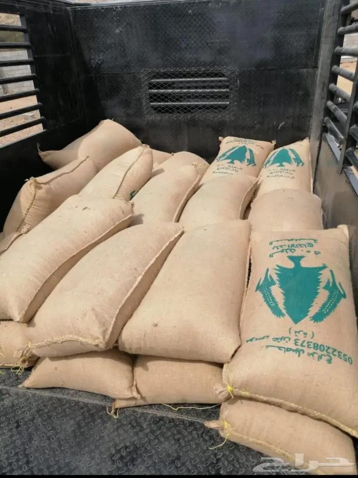 ذره جيزانيه حمراء 1