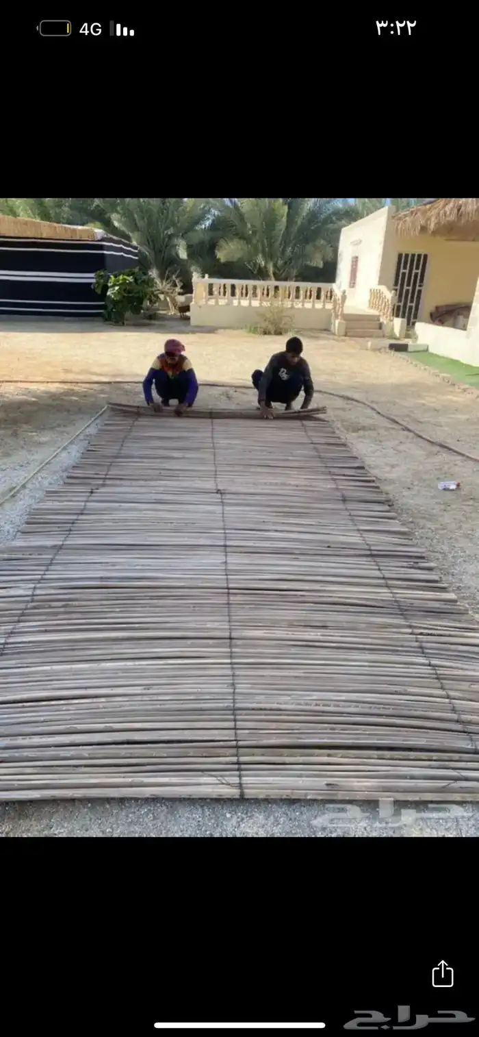 عسيب وخزاز جريد نخل 7