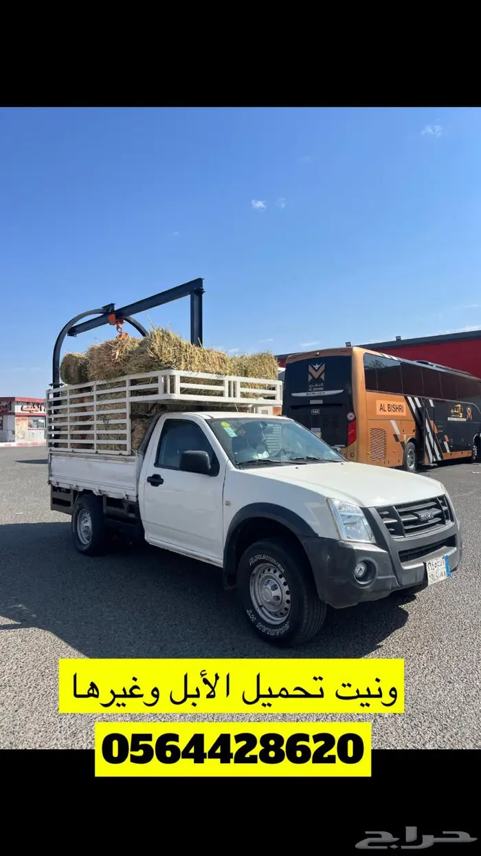 ونيت تحميل ابل والأغنام والحشو 0