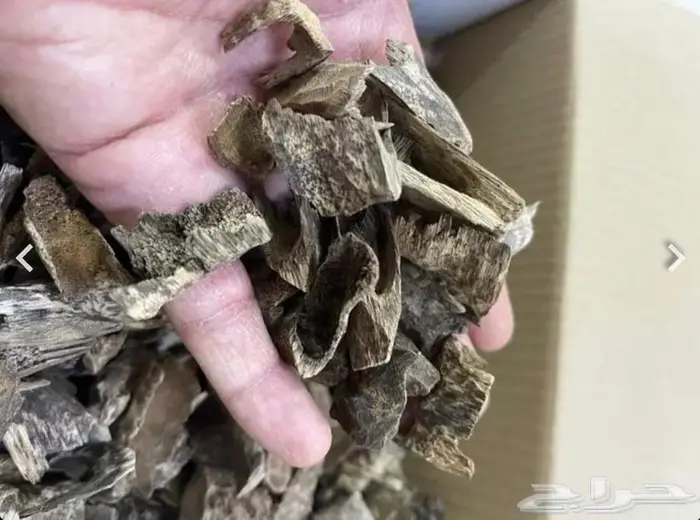 عود فيتنامي طبيعي سوبر ومشروط 3