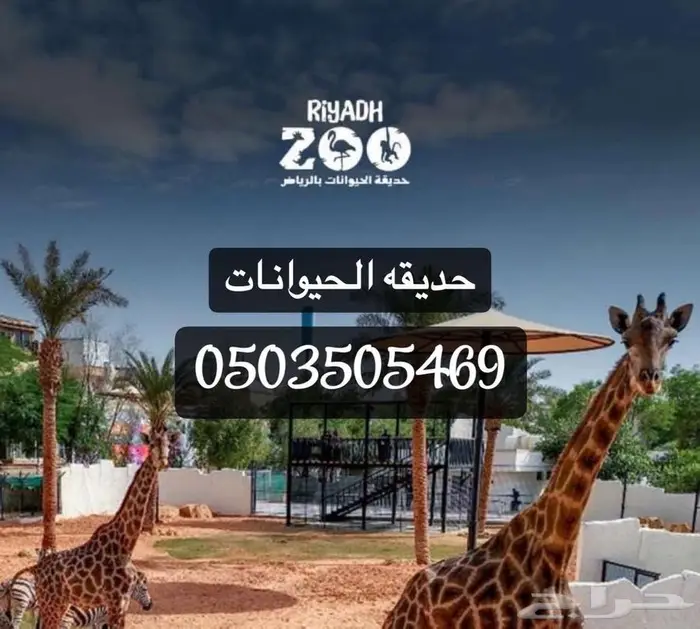 تذاكر حديقه الحيوان متوفرها 0