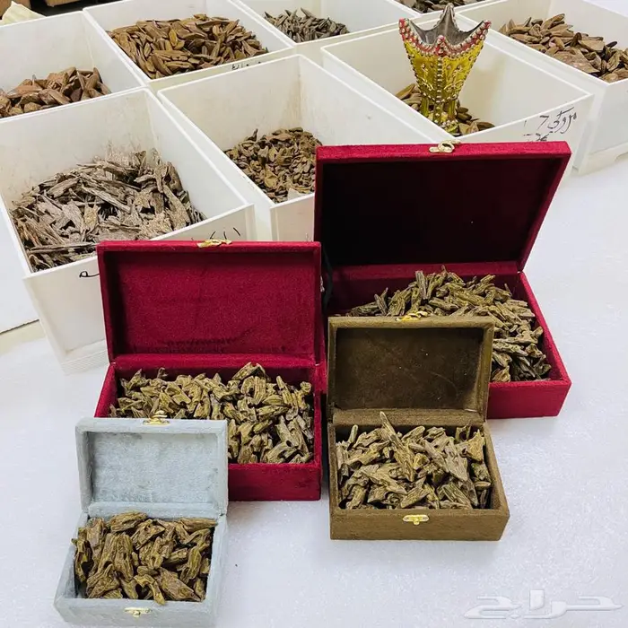 عود فيتنامي طبيعي سوبر ومشروط 5