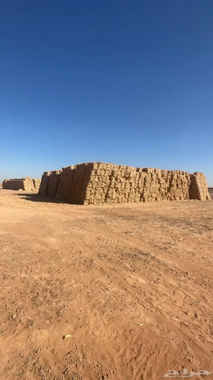 ذره شاميه شد ولجر الدفع عند الوصول 3