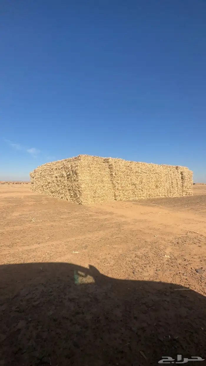 ذره شاميه شد ولجر الدفع عند الوصول 1