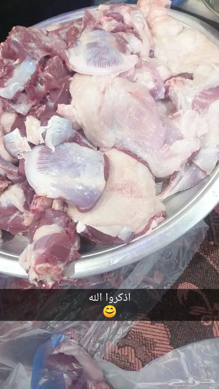 ذبايح ويوجد ذبح وتوصيل 10