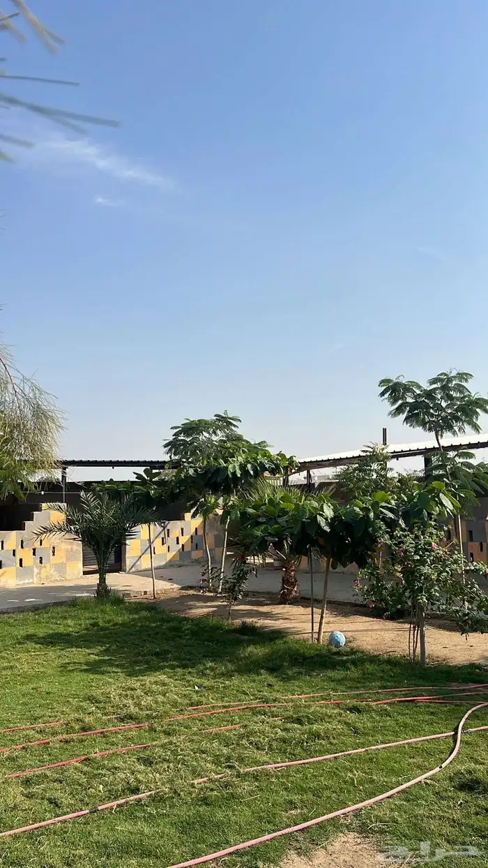 اسطبل ومربط و لايواء الخيل 0