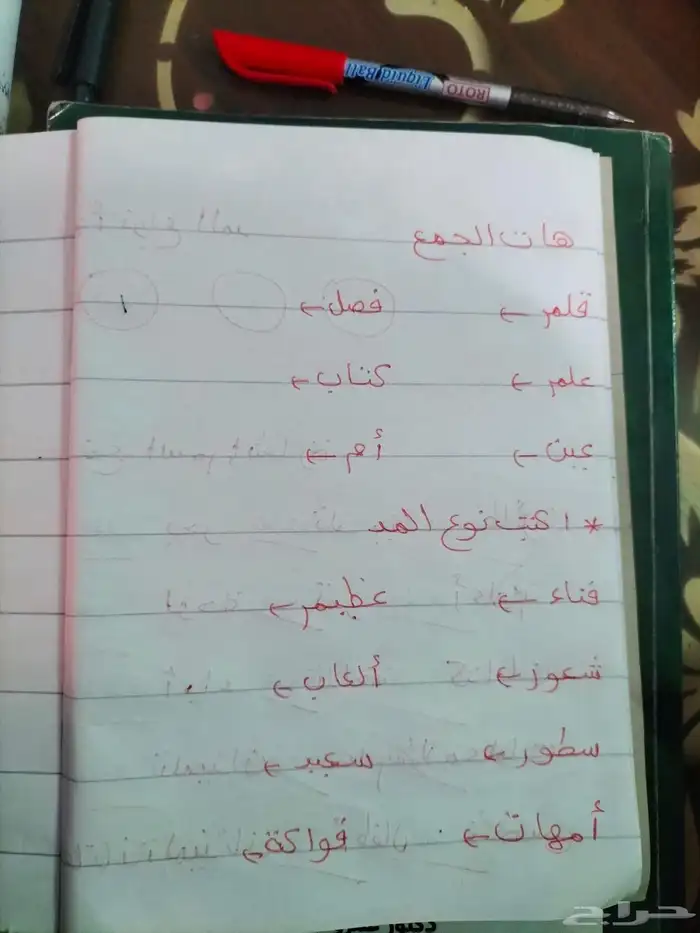 مدرسة خصوصيه 2