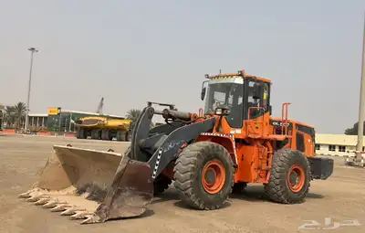 شيول دوسان (تم البيع) 1