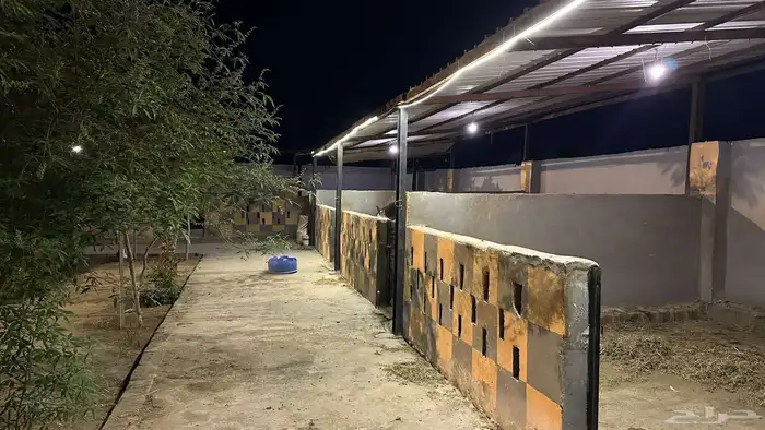 اسطبل ومربط و لايواء الخيل 3