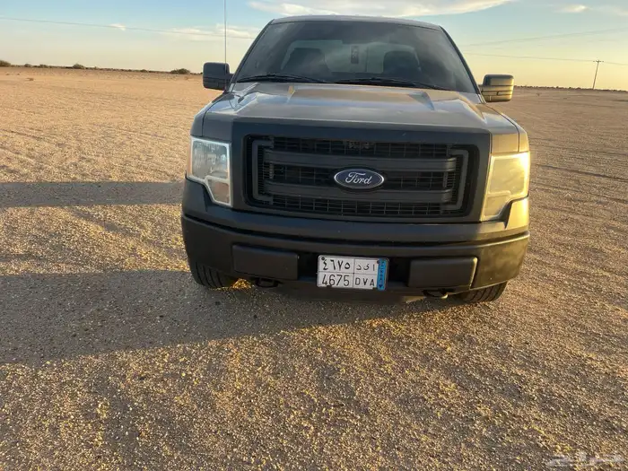 فوردF-150 0