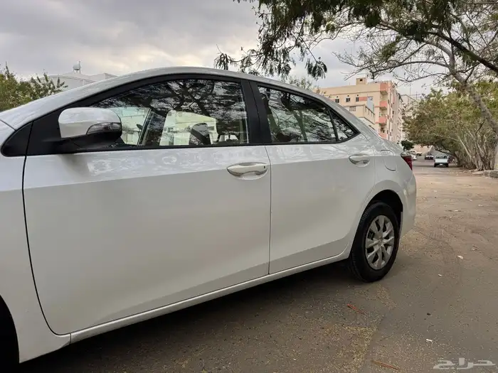مباع 14