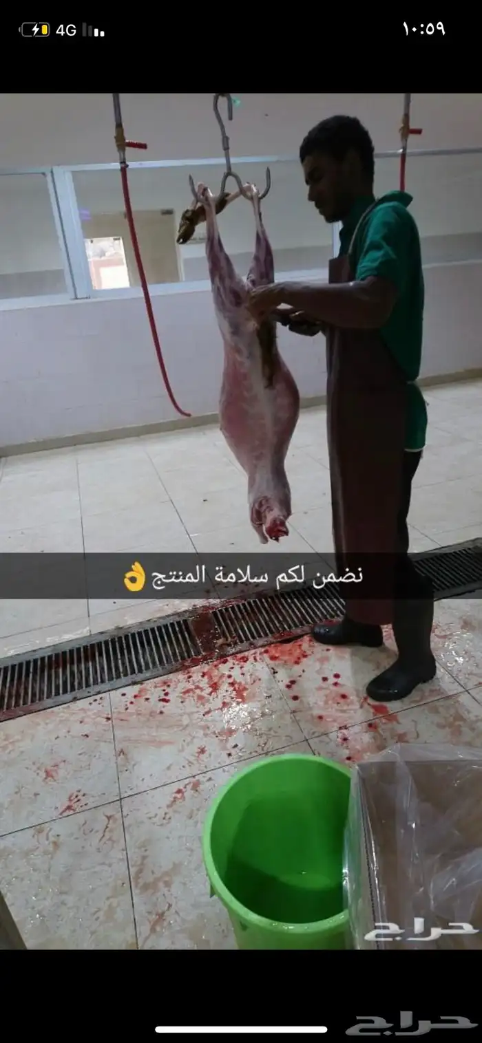 ذبايح ويوجد ذبح وتوصيل 9