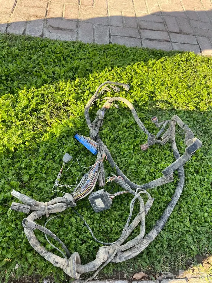 ضفيرة اربي 25 0