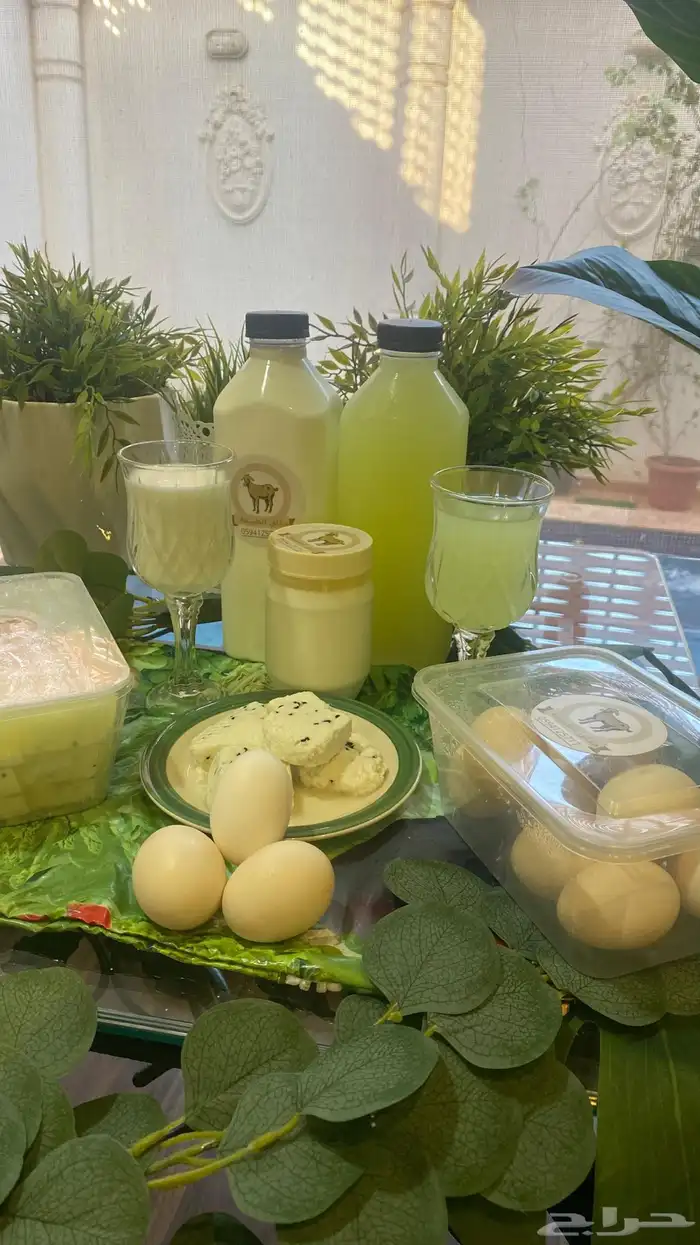 منتجات حليب الماعز (مذاق الطبيعه) 2