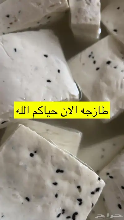 جبن غنم شرط خاثر غنم سمن زبده لبن لبنه مقدوس نوعين مفرزنات 10
