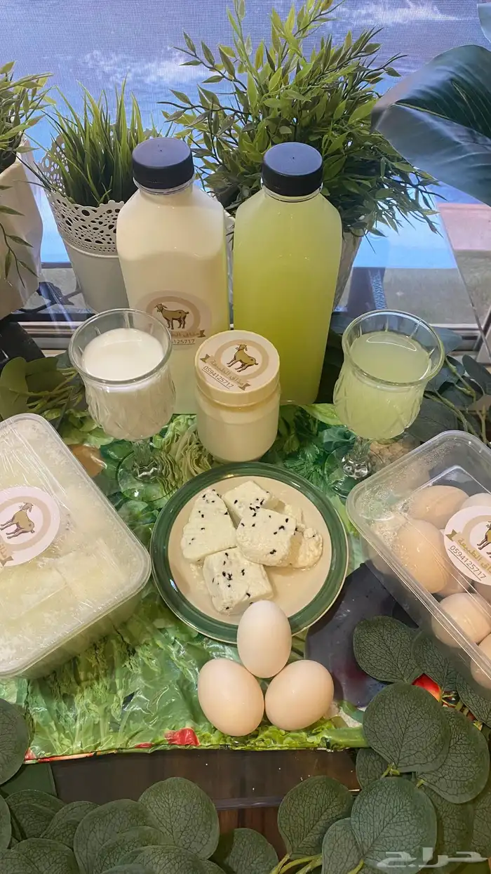 منتجات حليب الماعز (مذاق الطبيعه) 0