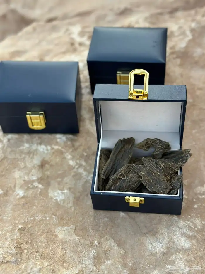عرض العود 3