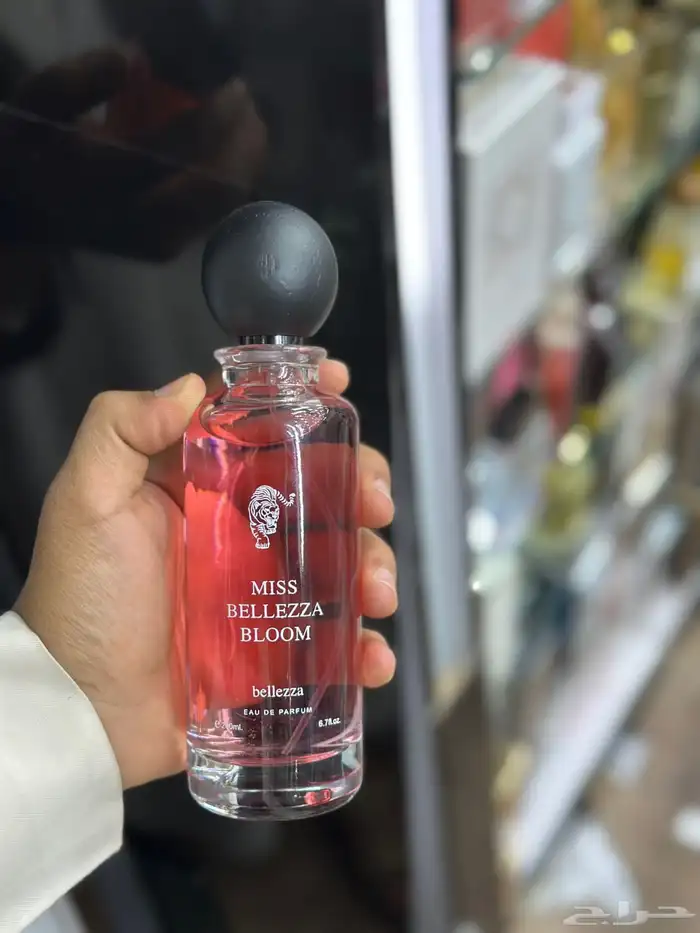 عطور المشاهير عساف ولافير المميزه 19