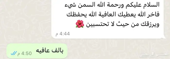 سمن بقر خالص 9