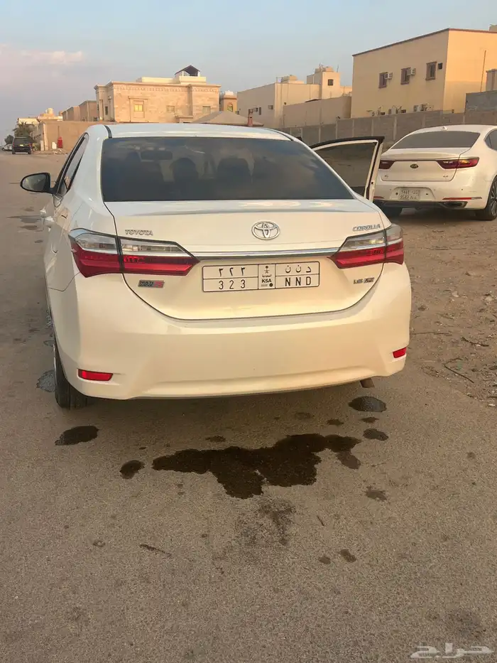 لوحة مميزة اسم دانة - دنا - دينا - ديانا - - دنيا - دنو 0