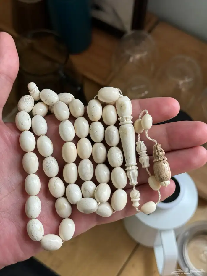 مسباح قرن الغزال الايل الاوروبي 0
