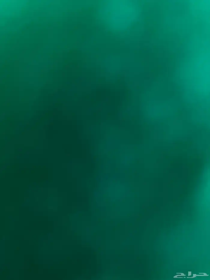 مطلوب دجاج ابياض 50حبه 0
