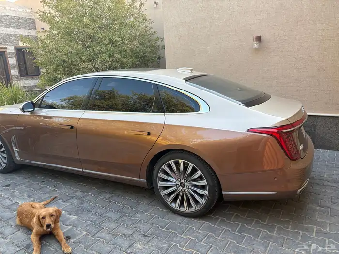 هونشي موديل 2023 للبيع 6