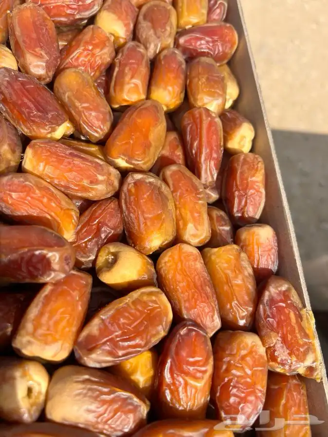 صقعي ملكي فأخر الكمية محدودة 2