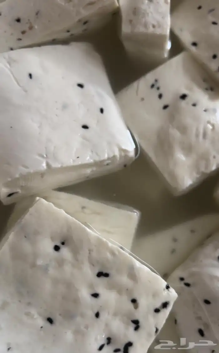 جبن غنم شرط خاثر غنم سمن زبده لبن لبنه مقدوس نوعين مفرزنات 12