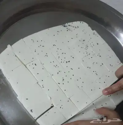 جبن غنم شرط خاثر غنم سمن زبده لبن لبنه مقدوس نوعين مفرزنات 9