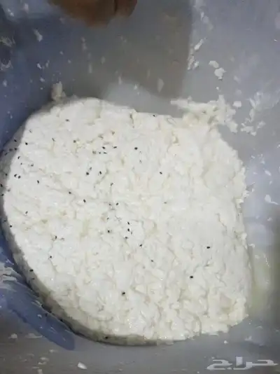 جبن غنم شرط خاثر غنم سمن زبده لبن لبنه مقدوس نوعين مفرزنات 14