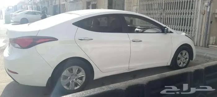 النتر 2016 1
