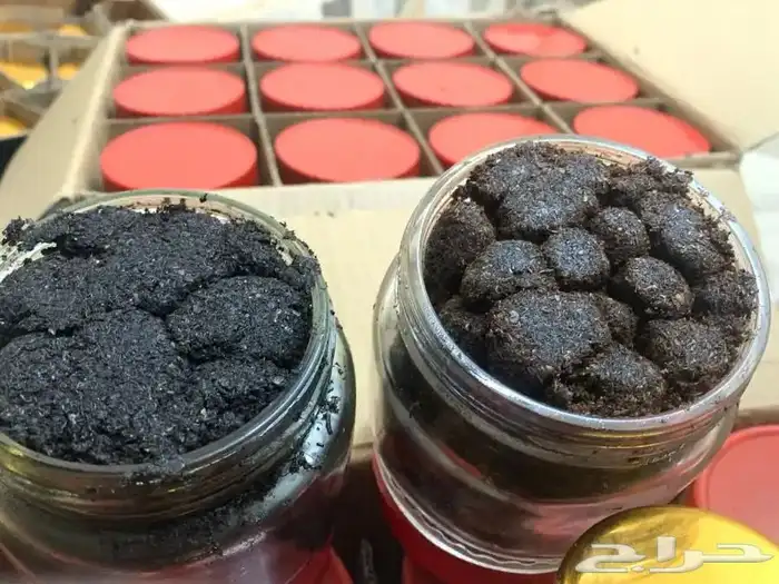 معمول وبخور دوسري 4