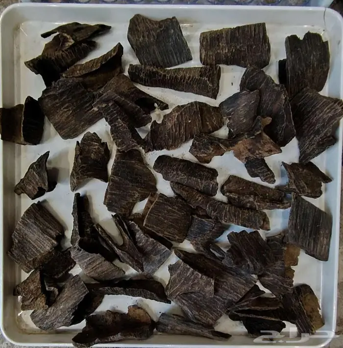 زوايا فيتنامي محسن فاخر 0